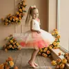 Día del Niño Disfraz de Performance Anfitrión Sencillo Fiesta de Cumpleaños Vestido de Princesa de Malla Voluminoso Brillante Vestido Colorido Transfronterizo