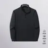 Sudadera con Media Cremallera para Hombre Nueva 2025 Primavera y Otoño Estilo Chino Nuevo Gruesa Pesada Cuello Alto Pulóver Chaqueta Versátil Moderna