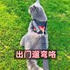Correa de Tracción para Gatos, de Aspecto Elegante, Engrosada, Anti-Escape, Chaleco de Tracción Especial para Gatos al Salir, Correa Ajustable para Pasear Gatos