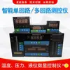 Termómetro infrarrojo sin contacto caja de control de temperatura pantalla de temperatura instrumento de control sonda de sensor de temperatura PT