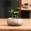 Pedra artificial não porosa cobre capim-dinheiro tamanho especial vaso de cerâmica para flores vaso para bonsai doméstico narciso recipiente para cultura em água liquidação atacado