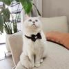Nuevo Gatos Negro Oro Estilo Chanel Lazo Collar Mascota Perro Galgo Corbata Pata de Gallo Gancho de Bobina Bufanda de Lana