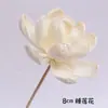 Acessórios DIY com Flores Secas de Rattan Difusor de Aroma Sem Chama Difusor de Fragrância de Óleo Essencial Varetas de Rattan Frasco de Fragrância de Rattan
