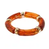 Pulseira Redonda Geométrica com Estampa de Leopardo Iridescente em Acrílico Europeia e Americana, Estilo Vintage de Nicho de Luxo, Acessório de Mão Único e Elegante