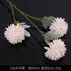 Serie de Flores de Tira Color Champán Seda Artificial de Boda Niebla Phalaenopsis Arco de Salón de Bodas Ramo de Decoración Falsa Dropshipping