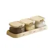 Juego de cajas de condimentos, botellas dispensadoras para el hogar, cajas de almacenamiento de cocina de alta gama, frascos, saleros, botellas de condimentos y recipientes para condimentos