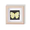 Especímenes de Mariposas Reales Raros y Preciosos (Mariposa Pavo Real) en un Marco, Decoración Moderna de Madera para el Hogar, Decoración Creativa de Mesa