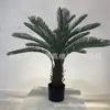 Planta de Ferro Simulada em Vaso Planta Verde Falsa de Celebridade Decoração de Sala de Estar Ornamentos Pequeno Cica Modelagem de Paisagem Interna Bonsai Chão