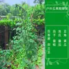 Soportes para Plantas Trepadoras para Lufa, Frijoles, Maracuyá, Melón Amargo, Uvas, Pepinos; Malla para Enrejado con Recubrimiento de Plástico para Uso en Jardín y Hogar