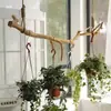 Ramas de Madera Natural para Paisajismo, Troncos de Árboles Muertos, Ramas Peladas de Madera Maciza, Troncos de Árboles Decorativos, Palos de Madera, Separadores de Ambiente, Barras para Colgar Ropa