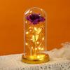 Nueva Cubierta de Vidrio Color Sólido Flor Eterna Creativa Flor Lámina de Oro Adorno de Escritorio Luz Nocturna LED Adorno de Escritorio Venta al por Mayor
