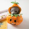 Roupas de Animais de Estimação Transfronteiriças, Roupas Engraçadas e Peculiares para Cachorros, Fantasias de Halloween e Natal, Trajes de Cosplay para Feriados