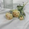 Artificial de três cabeças qianzi Lotus reunindo peônia flor peônia casamento casa hotel arranjo de flores decoração flor falsa atacado