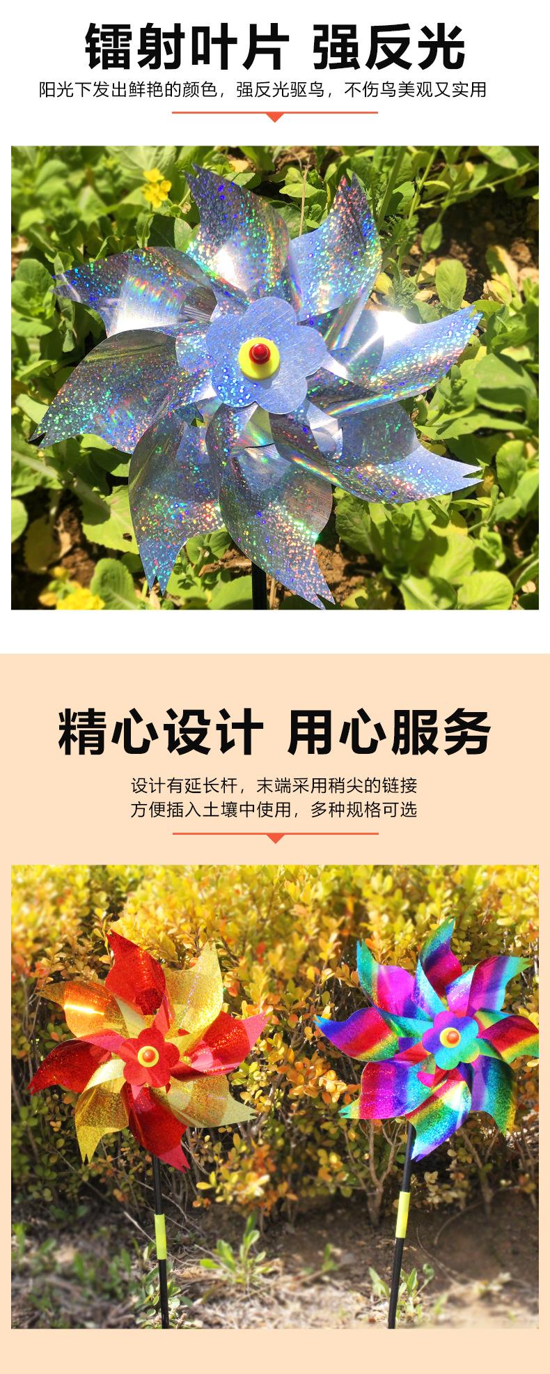 大八角 (5)