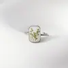 Anillo de Planta Verde Geométrico de Flor Real Anillo de Flor Eterna de Flor Seca Acero Inoxidable Chapado en Oro Joyería de Goteo de Pegamento Vintage Anillo de Flor Real