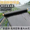 Película de mantillo negra tela nueva barrera contra malezas plantación agrícola verduras película para deshierbar conservación del calor retención de humedad huerto película plástica engrosada