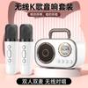 Caixa de Som Bluetooth Portátil para Casa, Caixa de Som Karaoke Sem Fio com Microfone, Canto ao Ar Livre, Casa, Bluetooth 5.3