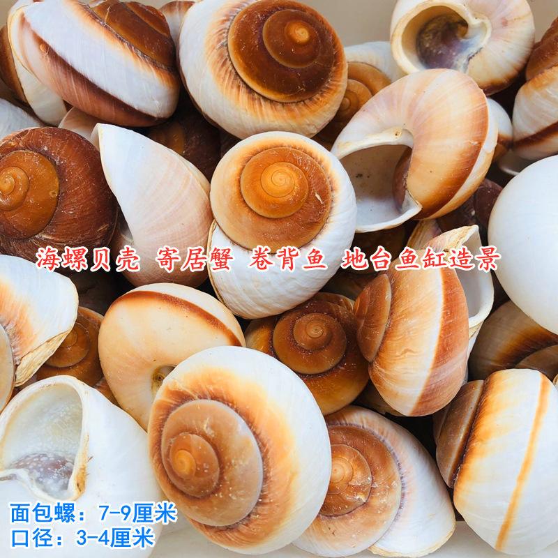 QQ图片20210928121916.jpg