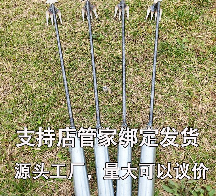 详情_02.jpg