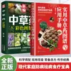 Atlas Prático de Medicina Herbal Chinesa e Manual de Aplicação Edição com Fotos Coloridas Livro Ilustrado Colorido de Medicina Herbal Chinesa Recém-Compilado Autêntico