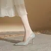 Jinye Cg6007 Salto Alto Bico Fino Feminino Salto Agulha Verão 2024 Novos Sapatos de Casamento Sapatos de Noiva Sapatos de Cristal