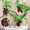 Vime de Frutas Artificiais Pendurado na Parede Videira Uva Ar Condicionado Decoração de Sala de Estar Interna Flor de Plástico Flor de Seda Videira