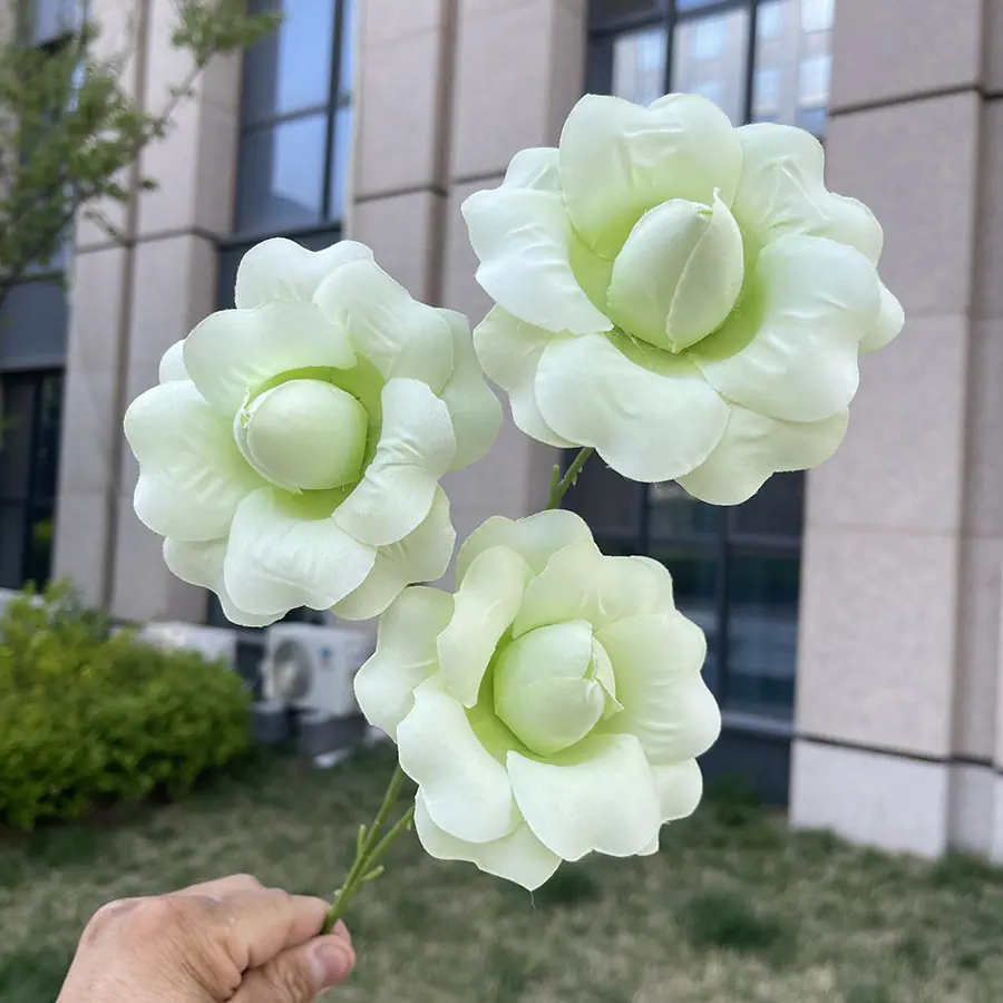3头翻瓣仙子色玫瑰-浅绿.JPG