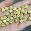 Cráneo de Calavera Tallado en Jade con Pasta Dorada Estilo Tíbet Pescado Accesorio DIY Cuentas Sueltas Semilla de Coco Rudraksha 108 Cuentas Budistas