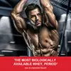 Suprimento Exclusivo Transfronteiriço da Amazon de Pó Proteico Sabor Morango Whey Protrin Powder em Estoque 2lbs
