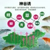 Nuevo Producto 2026 Elemento Fresco de Algas Cebo para Peces, Se Puede Tirar y Frotar, Adecuado para Carpa Crucian, Carpa de Hierba, Carpa Negra y Carpa Plateada, Cebo Fresco de Algas para Pesca, Cebo Premium