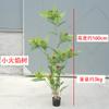 Árbol simulado Mimosa nueva planta biónica Zen china con fruta árbol falso en maceta sala de estar interior planta verde decorativa