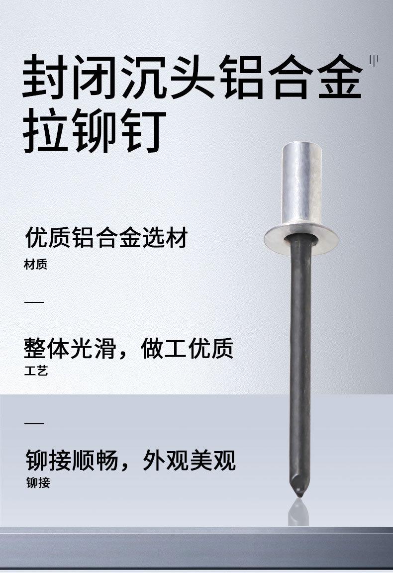 铝封闭沉头_02.jpg
