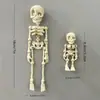 Imán para Refrigerador de Calavera Impreso en 3D Color Hueso Hombre Esqueleto Halloween Deformación Articulación Móvil Juguete Hecho a Mano con Pla Adornos