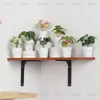 En Stock Hoja Única de Planta Verde Plástico Bonsái Decoración del Hogar Amazon Escritorio Maceta Adorno Pequeño Fabricante de Comercio Exterior