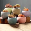 Vaso de Flor Suculenta Cerâmica Preço Especial Liquidação Esmaltado Tamanhos Grande e Pequeno Simples Pastoral Mesa Vasos de Barro Respirável Plantas Leede Estoque