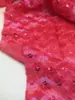 Novedad Vestido Bordado Disfraz de Actuación Tela Bordada Hanfu Lentejuela de Disco Bordada Tela Bordada