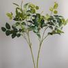 Hoja de rosa, planta verde, material de hoja, estilo nórdico, modelo de casa, habitación, ventana, conjunto de boda, decoración, fotografía, accesorios en vivo