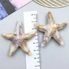 1 Novo Material Acrílico Pingente de Concha do Mar Estrela do Mar Pingente DIY Pulseira Colar Acessórios de Joias