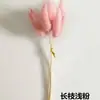 Venta al por mayor de fábrica cola de conejo pasto flor seca ramo de flores secas Navidad DIY flor multicolor opcional 10 ramas