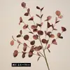 Novedad de Venta Caliente Transfronteriza Eucalipto Artificial de 36 Hojas Decoración para el Hogar y el Hotel Adornos Florales Accesorios para Arreglos Florales