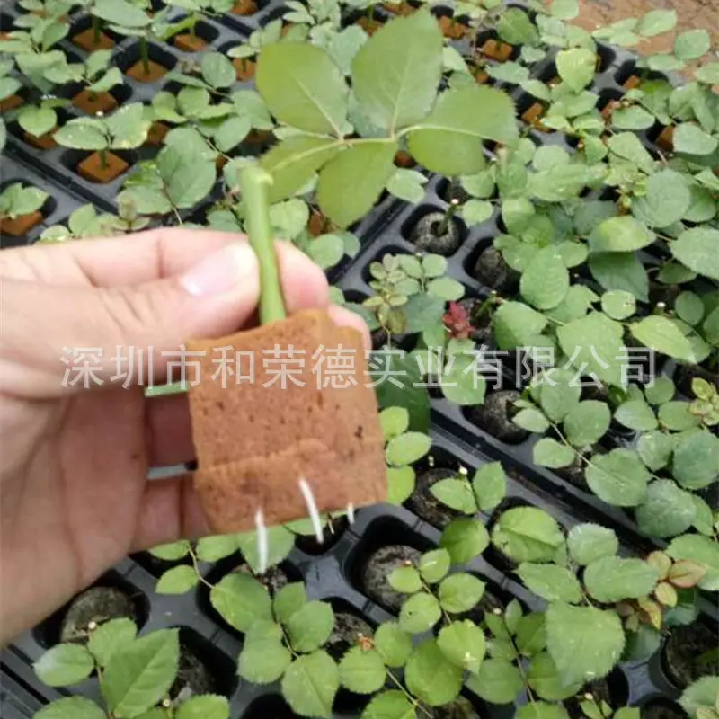 无土栽培基质