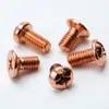 Parafusos e porcas galvanizados em ouro rosé para luminárias, parafusos vermelho rosé para abajures, lustres, brinquedos e eletrodomésticos
