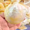 Promoción de ventas directas de fábrica de nuevas conchas de mariposa amarillas conchas de mariposa negras adornos de concha originales completos manualidades decorativas