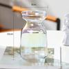 Venta al por mayor Nórdico creativo estilo ins jarrón de vidrio transparente decoración de arreglo floral hidropónico sala de estar decoración del hogar