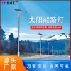 Poste de Luz de Rua com Padrão Solar 6m LED Iluminação Externa Luz de Jardim Nova Construção Rural Engenharia Municipal Fabricante de Poste de Luz de Rua