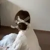 Goma para el pelo de lunares en blanco y negro estilo retro coreano con un toque de alta gama, Nuevo coletero de malla con lazo, Cuerda para el pelo nueva y moderna