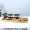 Grande Coleção de Produtos Únicos - Design Criativo Antigo Rústico Madeira Maciça Enfeites Decorativos Vasos de Flores para Pátio de Madeira Zakka Mercearia