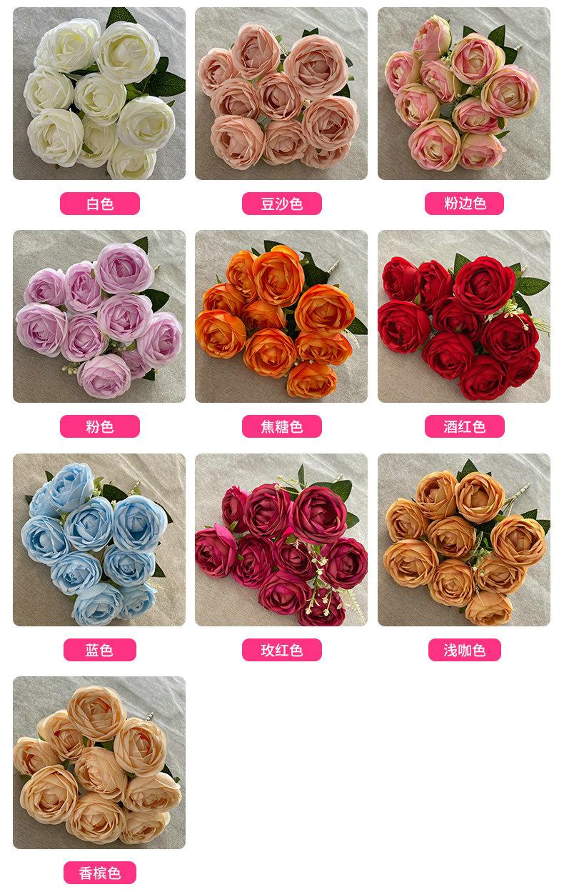 产品颜色 (2).jpg