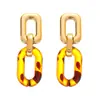 Pendientes de Cadena Geométricos de Leopardo Exagerados Europeos y Americanos de Aguja de Plata Pendientes de Tendencia de Moda Pendientes Elegantes Retro Maillard para Mujeres