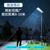 Iluminação pública solar transfronteiriça de alta potência, iluminação externa, luz automática escura, 6 metros, fabricantes de luz solar LED